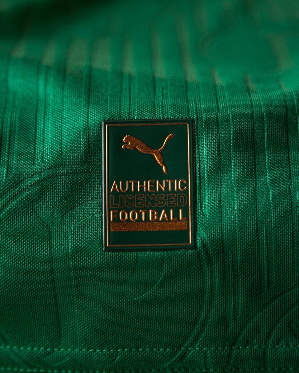 Camisa Palmeiras Titular 24/25 - Verde e Branca